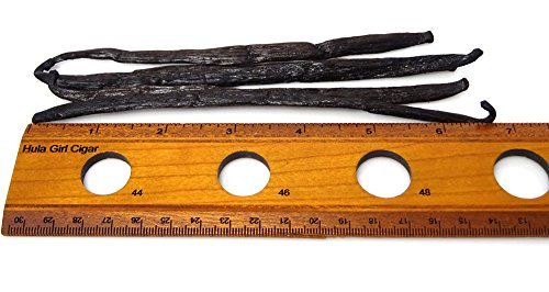 Hula Girl Indonesian Vanilla Beans Gourmet 6-7 Inches Long in Airtight Glass Tube