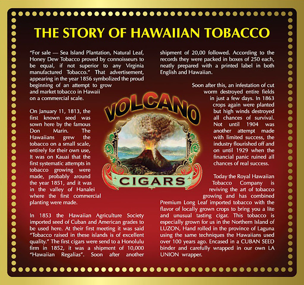 Volcano Macadamia Nut Flavored Cigars Box of 18