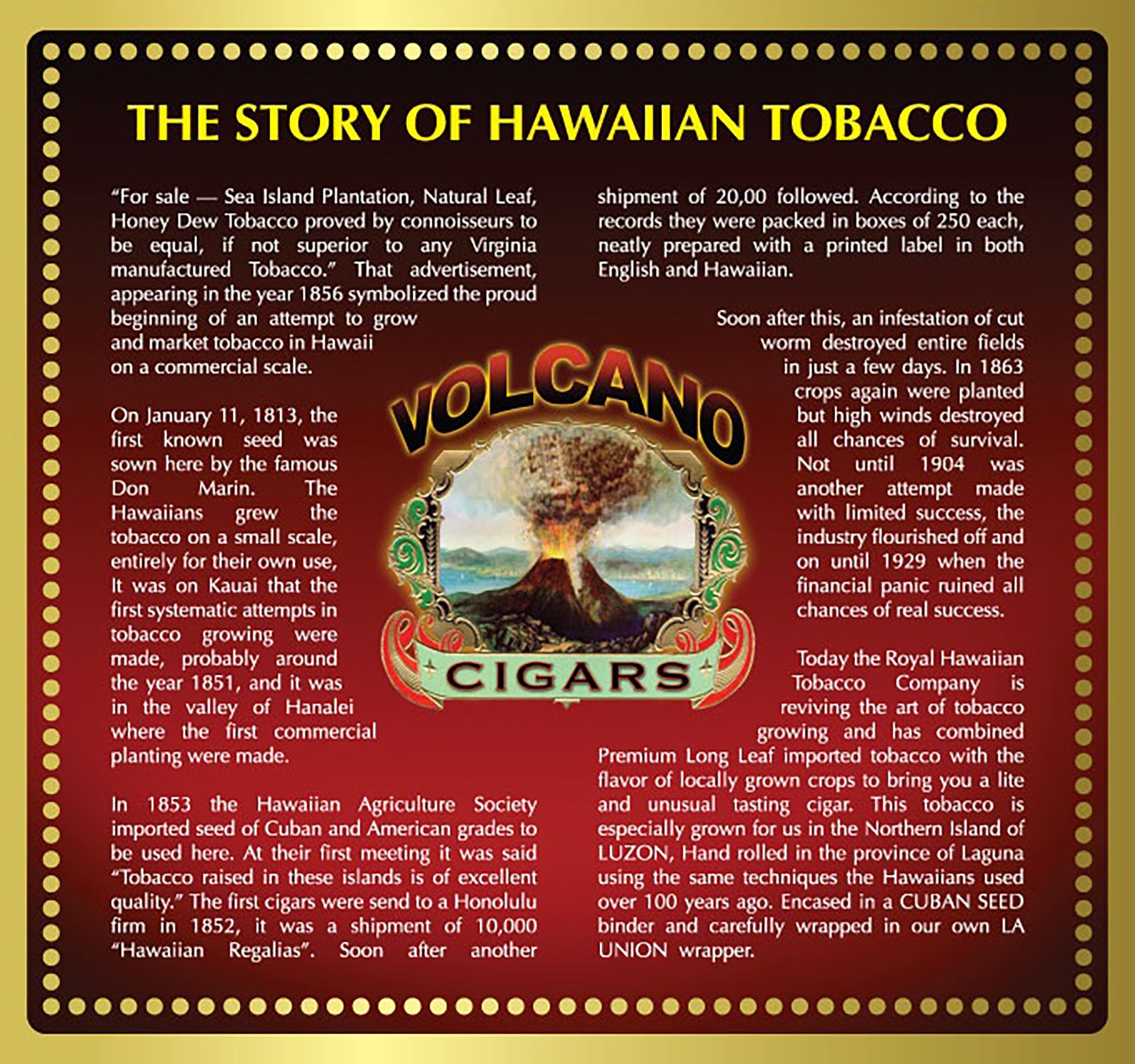 Volcano Macadamia Nut Flavored Cigars Box of 18