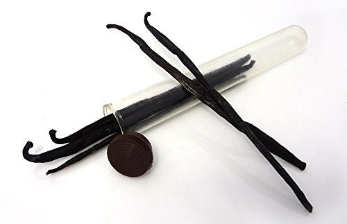 Hula Girl Indonesian Vanilla Beans Gourmet 6-7 Inches Long in Airtight Glass Tube