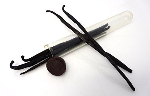 Hula Girl Indonesian Vanilla Beans Gourmet 6-7 Inches Long in Airtight Glass Tube
